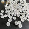Biały kolor Hpht Rough Lab Grown Diamonds Uncut 1ct Lab Diamond